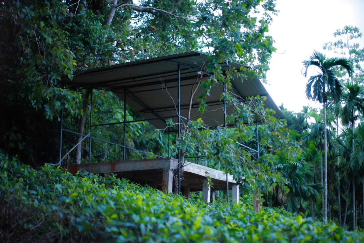 Rainforest Lodge, Deniyaya Singheraja Εξωτερικό φωτογραφία