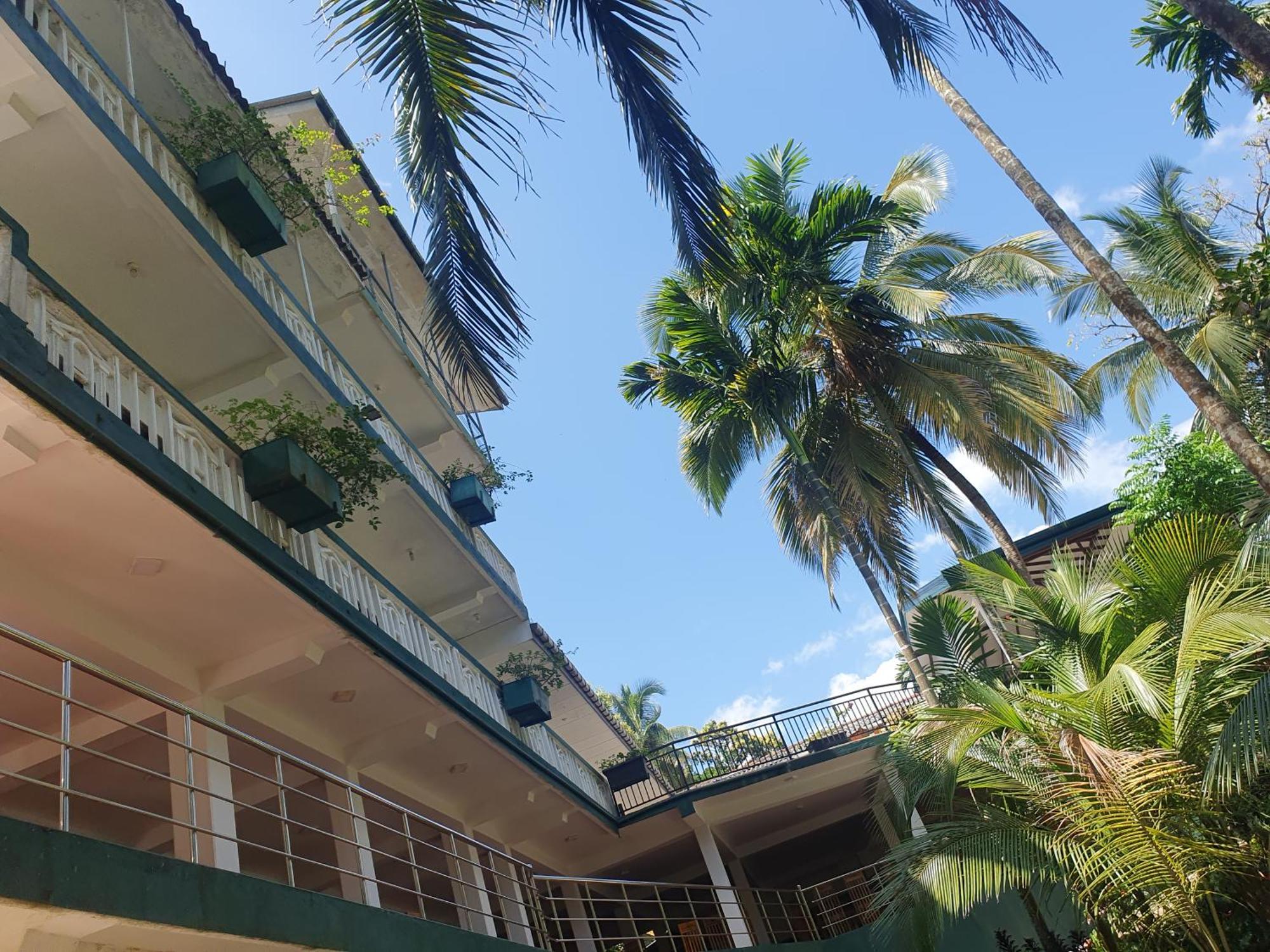 Rainforest Lodge, Deniyaya Singheraja Εξωτερικό φωτογραφία