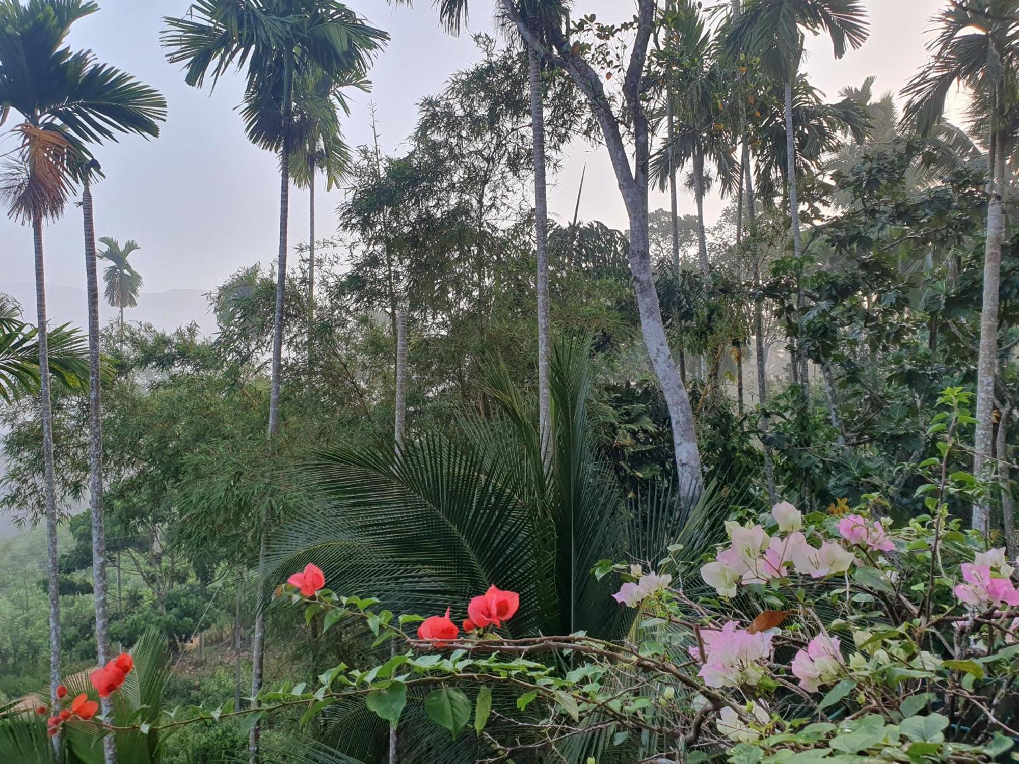 Rainforest Lodge, Deniyaya Singheraja Εξωτερικό φωτογραφία
