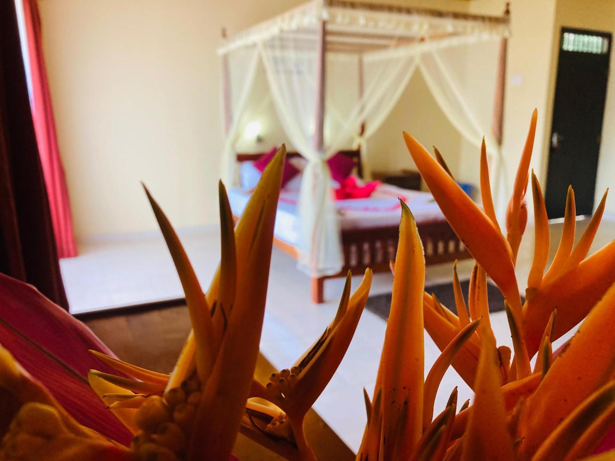 Rainforest Lodge, Deniyaya Singheraja Εξωτερικό φωτογραφία